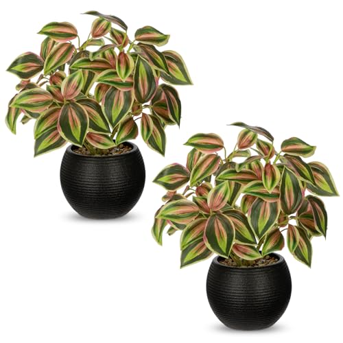 2 Packs Artificial Plants in Black Pot, 12" Faux Plant | Realistic Tradescantia Zebrina Fake Plants Potted Decorative for Home Kitchen Office Desk Bookshelf Decor - color: Pink-green