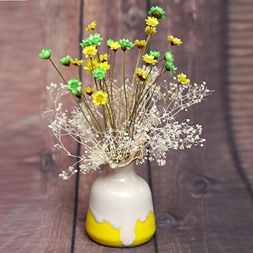 100 Stems Natural Dry Flowers Brazilian Small Star Daisy Decorative Dried Flowers Mini Daisy Chamomile Bouquet for Wedding Floral Arrangements Home Decorations (Autumn Color) - color: Autumn Color