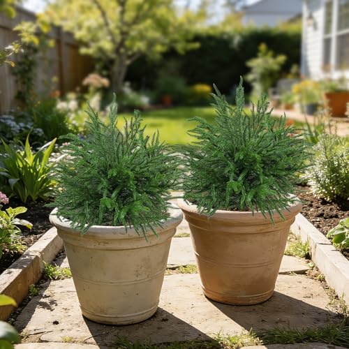 Bdor 24" Artificial Norfolk Pine Topiary Bush with Ground Stake, UV Resistant Fake Pine Shrubs for Outdoors, Weatherproof Faux Greenery Plants for Garden, Patio, Yard, 2 Pack - style: norfolk
