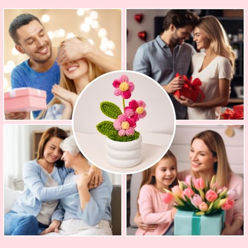 Knitted Flowers Crochet Flower Pot for Desk Car Dashboard Decorations, Mother's Day, Valentine's Day, Birthday Gift for Her, Mom, Women, Girlfriends (Daisy, Pink) - color: Y: Daisy - Pink