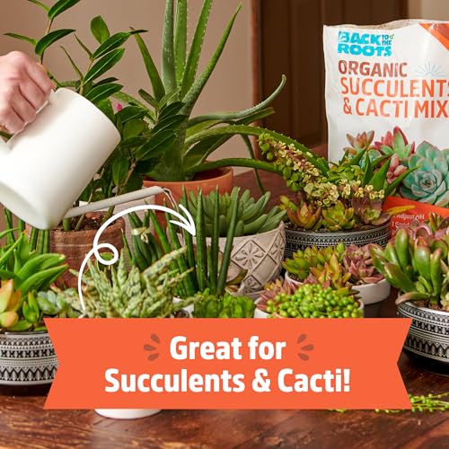 Back to the Roots 100% Organic Succulent & Cacti Mix (Value 12 Quart) | Made in the USA - size: 12 Quart, style: Suculent & Catcti Blend