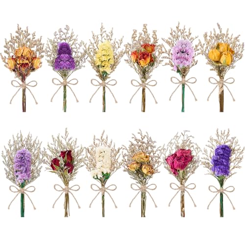 12/24 PCS Charming Dried Flowers Bouquet for Vase Various Dried Wildflowers with Stems Mini Handmade Wildflowers Natural Real Flowers Bulk Flowers Craft (Forget Me Not, 12 PCS) - color: Forget Me Not