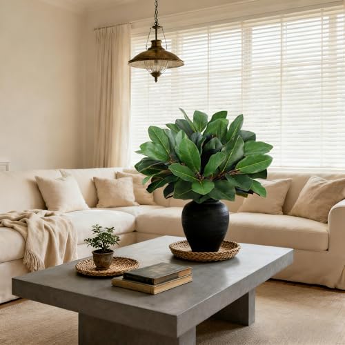6 PCS 22" Magnolia Leaves Artificial Greenery Stems 3D Real Touch Faux Magnolia Branches Fake Bird of Paradise Decorative Plants for Vase Kitchen Office Table Home Decor - color: 6pcs Magnolia Leaves