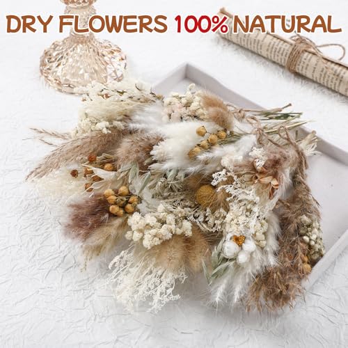 12/24 Pack Dried Flowers for Vase Various Mini Bouquet Dried Small Wildflowers Natural Real Flowers Bulk for Crafts DIY Wedding Decor (12, Plain Colour) - size: Plain Colour