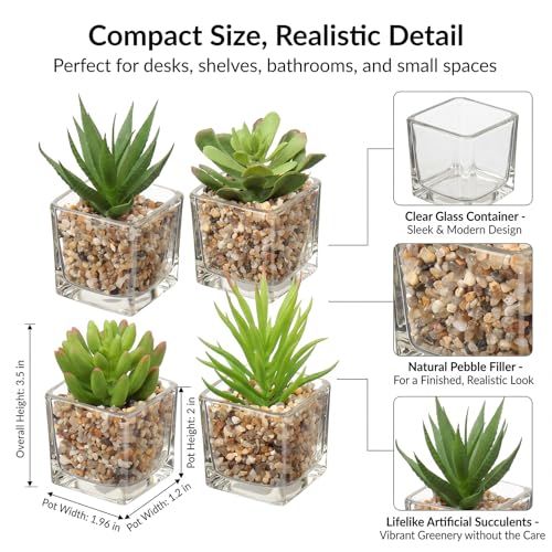 Briful Set of 4 Succulents Plants Artificial in Clear Glass Pots Small Fake Succulents Plants Mini Faux Plants Indoor for Window Sill Office Table Desk Shelf Bathroom Decor - color: Succulents #03