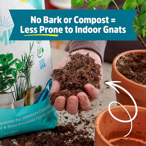 Back to the Roots 100% Organic Indoor Potting Mix (6 Quart), Promotes Healthy Houseplant Growth, Made in The USA - size: 6 Quart, style: Indoor Soil