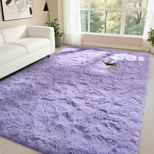 DweIke Fluffy Lavender Purple Rugs for Bedroom Living Room, 3x5 Feet Soft Plush Shaggy Light Lilac Purple Girls Boys Kids Rug, Non-Slip and Machine Washable Carpet for Dorm Nursery Classroom Decor - color: Purple, size: 3 Ft X 5 Ft