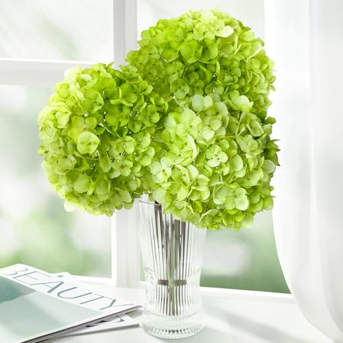 ZYTUYO 3PCS Green Hydrangea Artificial Flowers 25.6" Large Fake Hydrangeas Flowers with Stems Faux Silk Bouquet for Indoor Home Decor Table Wedding Party Floral Outdoor Centerpieces - color: Green