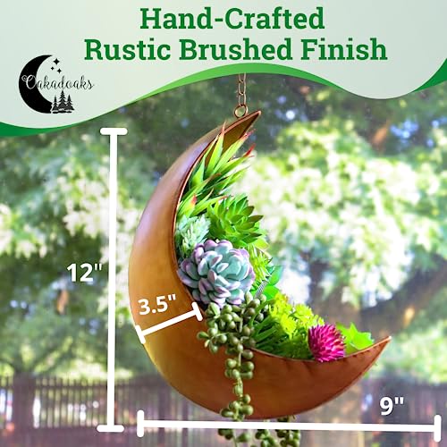 Hanging Moon Planter - Moms Day Gifts for Women - Moon Room Decor - Unique Planters for Succulents,Air Plant, Cactus, Artificial Plants- Plant Lover Gifts - Boho,Hippie, Witchy, Birthdays Gifts - color: Gold