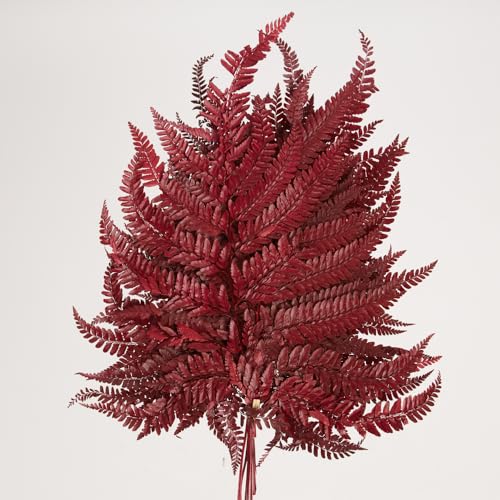 Preserved Real Green Ferns Dried Green Fern Tips Stems Wedding Garlands Home Decorations Bouquets Flower Arrangements Wall Hanging Dried (Red) - color: Red