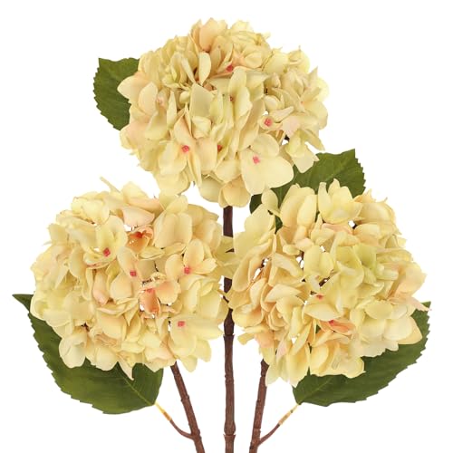 Hollyone 3Pcs Cream White Hydrangea Artificial Flowers Faux Dried Touch Hydrangeas Silk Flowers with Stems Fake Fall Florals Flower for Home Wedding Table Centerpiece Vase Arrangements Fall Decoration - color: Cream - Dried Hydrangea
