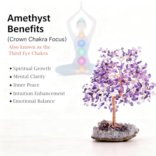 Natural Gemstone(406 Stone Count) Amethyst Crystal Tree of Life,Chakra Balancing Positive Enegy Fengshui Decor Bonsai Money Tree,Good Luck Spiritual Gift Height 8.5-9 Inches - color: Amethyst With Amethyst Cluster Base