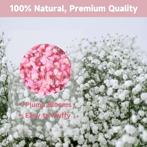 Dried Baby's Breath Bouquet, Pure Pink 6"-7.8" Portable Mini Gypsophila Flowers, 2000+ Natural Preserved Flowers for Wedding Home Decor DIY Crafts Vase Filler Wreath Card Making - color: Pink