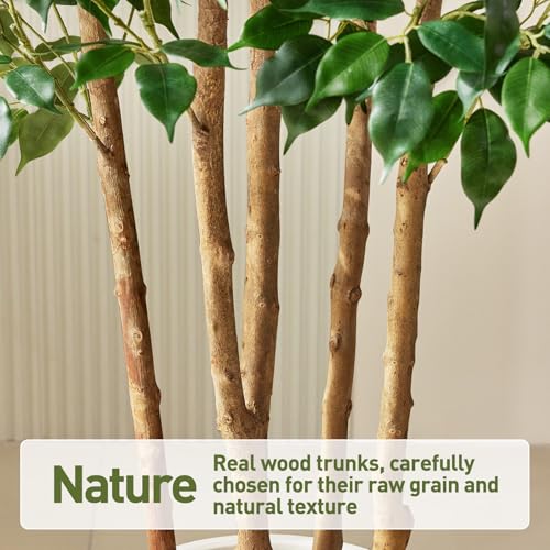 VeriNatural 7FT Artificial Ficus Tree with White Planter - Realistic Faux Ficus Tree with 1500+ Silk Leaves, 4 Real Wood Trunks,Tall Fake Plant for Indoor Living Room, Office, Home Decor (84") - size: 7ft