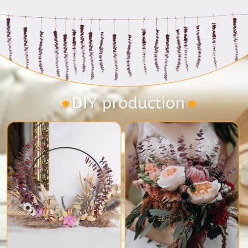 Real Dried Eucalyptus Stems, 20Pcs 17inch Red Preserved Fresh Eucalyptus Stems Plant for Home Vase Wedding Festival Floral Arrangement Fall Flowers Decoration - color: Red, size: 20Pcs Eucalyptus Stems