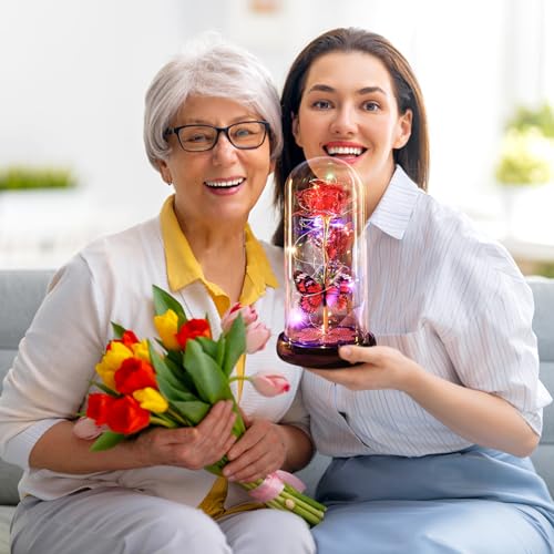 Mothers Day Rose Gifts for Mom Birthday Gift, Rechargeable Galaxy Glass Rose in Glass Dome Eternal Crystal Flower Butterfly Gift Mother's Day Flowers Gifts for Women Mom Wife Grandma Daughter Red - color: USB-E Red