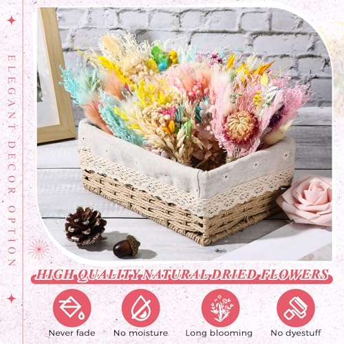 Layhit 12 Pcs Boho Dried Flower Bouquet Mini Wedding Handmade Dry Flowers Decor for Vase Crafts DIY Photo Boutonniere for Men Floral Plant for Bridesmaid Gift Birthday Decor(Lively) - style: Lively