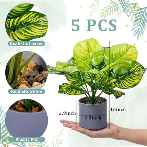 Suncalla 5 Pcs 11 inch Artificial Potted Tropical Plants Indoor Small Faux Monstera Plant in White Pebbles Pots Fake Greenery Table Centerpiece for Home Living Room Kitchen Office Shelf Bedroom Desk