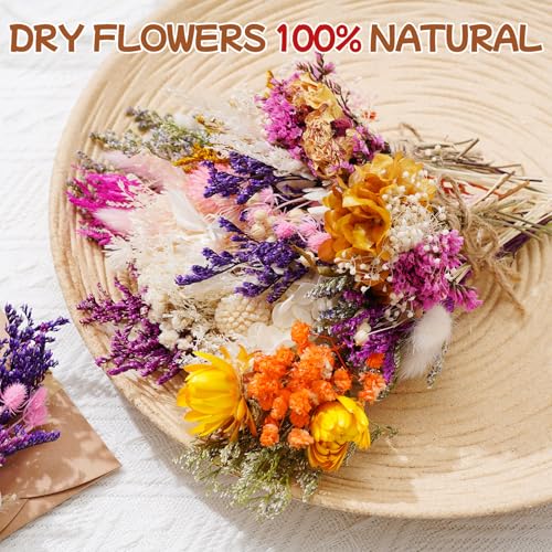 10/12/24 Pack Dried Flowers for Vase Various Mini Bouquet Dried Small Wildflowers Natural Real Flowers Bulk for Crafts DIY Wedding Decor (12, Flowers Blooming1) - size: Flowers Blooming1