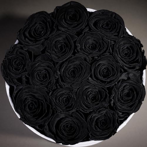 Prifroti 17 Flowers in a Luxury Suede Box, Birthday Gifts for Women, Preserved Flowers, Mothers Day Roses Gift for Mom, Black - color: Black, size: 17 Roses