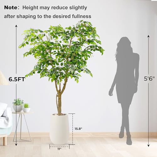 6.5FT Artificial Ficus Tree with White Planter and Pebbles,Faux Silk Tree with Lifelike Leaves and Realistic Trunk,Tall Fake Potted Plant for Home and Office Décor Indoor and Outdoor (6.5FT) - size: 6ft 6in