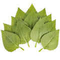 100 Pcs Artificial Leaves for Crafts, Green Sunflower Fake Leaves, 3.7×2.1 Inch Fake Sunflower Leafs Greenery Leave for DIY Wedding Christmas Bouquet Wreaths Decor