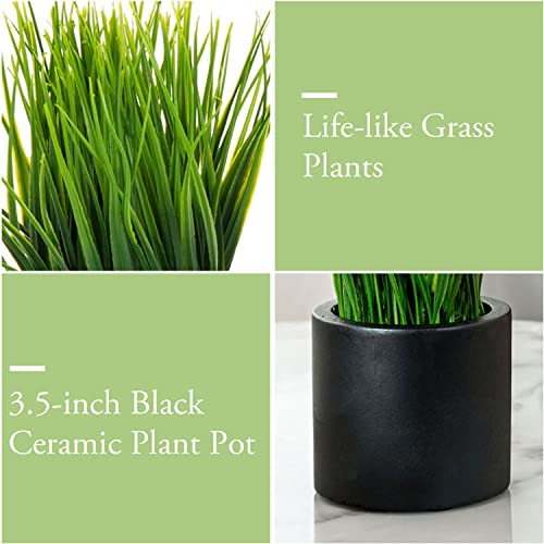 MyGift Tabletop Artificial Grass Plants Decorative Faux Greenery Plant Potted in Modern Cylindrical Black Cement Pots, Set of 2 - color: Black (Round)