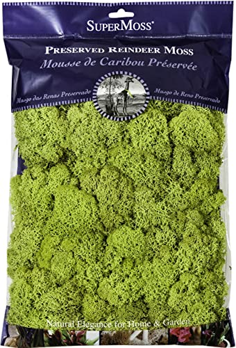 Super Moss 21669 Reindeer Moss Preserved, Chartreuse, 200 Cubic inch (in3) Bag (Appx. 8oz) (Pack of 10) - color: Chartreuse, size: 200 cubic inch (in3) Bag (Appx. 8oz) (Pack of 10)