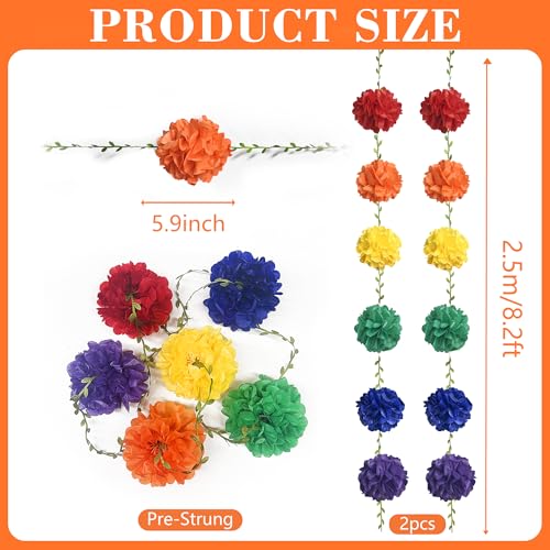 Rainbow Party Decorations Colorful Tissue Paper Flowers Pom Pom with Leaf Ribbon Hanging Garland Streamer for Multi-color Birthday Baby Shower Wedding Carnival Clown Fiesta Festival Party Supplies - color: Rainbow