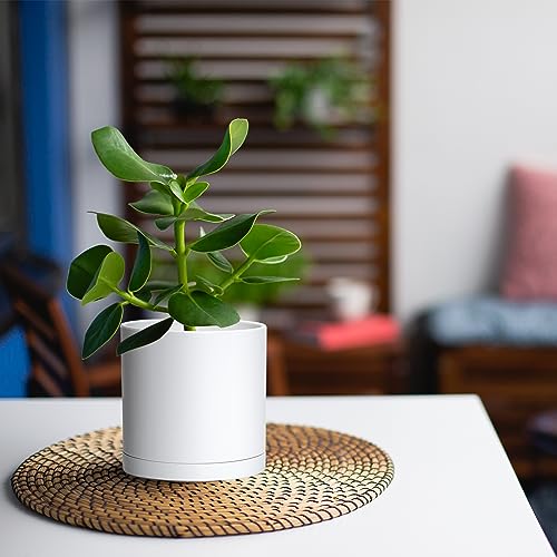 D'vine Dev 2 Pack 5 Inch Modern Plastic Plant Pots, Small Garden Planters for Plant with Drainage Holes and Saucers, White Color, 74-Z-G-1 - size: 5"