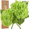 FiveSeasonStuff Real Touch Silk Hydrangea Flowers, 2 Large Long Stem Artificial Flowers for Floral Arrangements (Paris Green) - color: Paris Green (2 Stems)