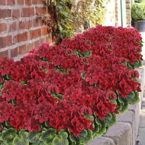 2 Pcs Artificial Geraniums for Outdoor Silk Geranium Flowers Red Artificial Geranium Bush Faux Flowers Geraniums Branch for Garden Patio Grave Cemetary Vase Table Centerpiece Indoor Decor - color: Red