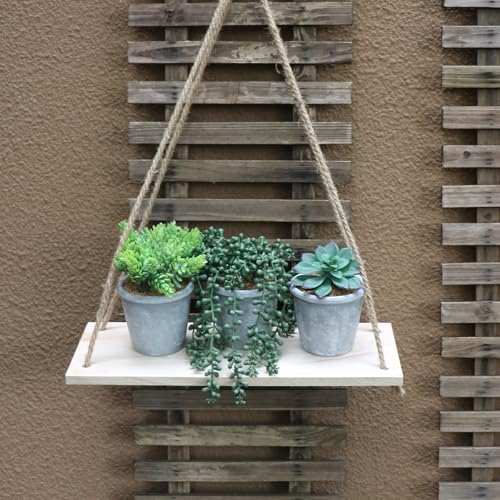 COTSEN 3 Pcs Artificial Succulents Potted Plants Assorted Fake Succulents Potted for Family Office Garden Interior Decor
