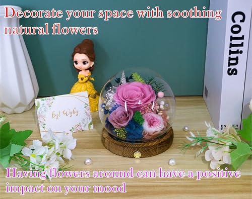 Valley of Rain & Forest Long-Lasting Real Flowers With Delivery | Unique Floral Gift For You to Send Love for All Occasions, Aesthetic Home Decor (Forever Preserved Pink Rose Arrangement) - color: Sweet Pink Rose, Cappuccino Rose, Austin Rose