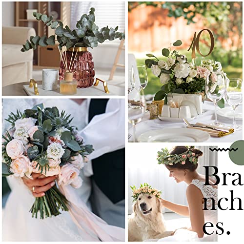 Taiyin 120 Pieces Artificial Eucalyptus Leaves for Wedding Eucalyptus Leaves Stems Decor Greenery Faux Green Stems for Wedding Centerpiece Floral Home Decor, 11 Inches