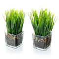 MyGift Artificial Grass Plants in Modern Square Clear Glass Pots with Faux Pebbles and Soil, Decorative Potted Greenery Plant in Tabletop Planter, Set of 2 - color: Clear (Square)