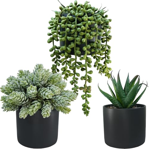 Winlyn Set of 3 Small Artificial Potted Succulent Plants Faux Aloe Hops String of Pearls Succulents in Black Cylinder Pots for Gift Home Office Bathroom Indoor Outdoor Table Shelf Windowsill Décor - color: Black Ceramic Pots
