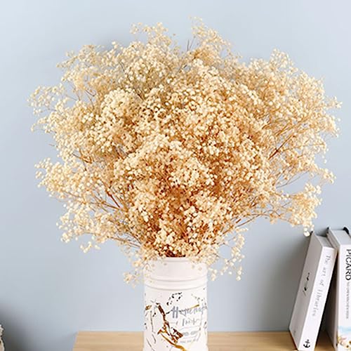 17.2 Inch Dried Flowers Baby's Breath Bouquet - 2500+ Dry Flowers,Natural Gypsophila Branches for Home Decor, Wedding, Table Decor, DIY Wreath Floral, Dry Flowers Bulk for Vase (White) - color: White