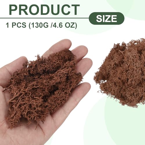 MECCANIXITY 4.6oz Preserved Reindeer Moss, Coffee Decorative Artificial Fake Moss for Potted Plants Indoor Crafts Lichen Centerpieces Decor - color: Coffee, size: 4.6oz