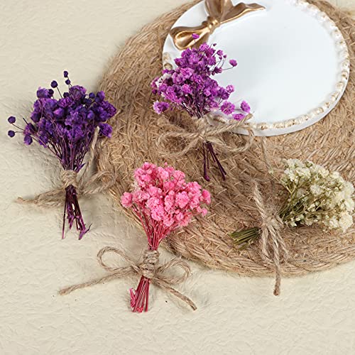 8Pcs Mini Gypsophila Bouquets Natural Gypsophila Dried Flowers Bouquet Dry Flower&Leaves Lagurus Dried Embossing Flower Bundles Plant Stem Bunch for DIY Craft,Photo Props,Party,Wedding Card Decoration - color: Type1