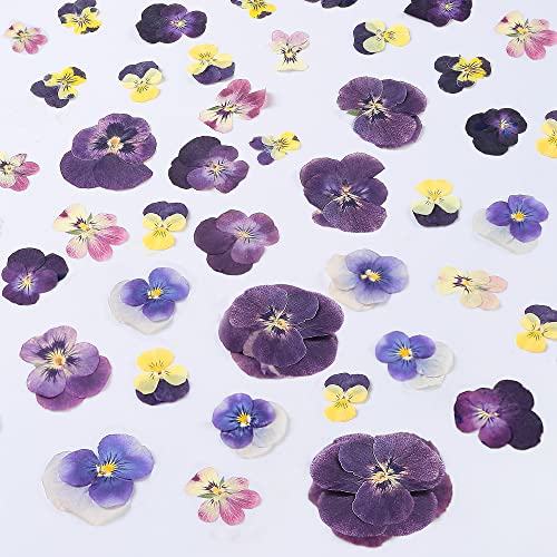 48 Pcs Mix Natural Dried Pressed Flowers for Cake Decorating, Real Dry Flower for Resin Jewelry Making, DIY Art Crafts - Johnny Jump Up - color: Johnny Jump Up