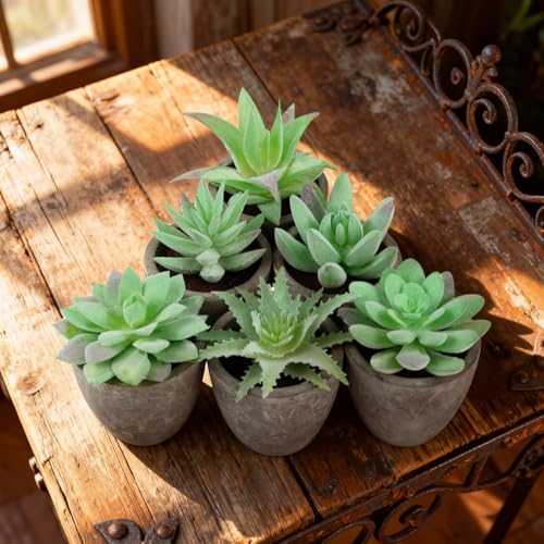 Woration 6pcs Artificial Succulents Plants Potted Assorted Decorative Faux Fake Small Green Succulent with Pot Table Shelf Windowsill Indoor Greenery Decor - color: 6 Pack 6 Style