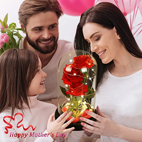 Dream of Flowers Gifts for Mom Mothers Day Birthday Gifts for Women,Beauty and The Beast Rose in Glass Dome,Anniversary Rose Gifts for Wife,Romantic Red Silk Rose Flower Gifts for Women - color: Classic Red