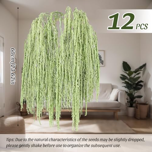 Suncalla 12 Pcs 24 Inch Light Green Dried Amaranthus Hanging Flowers Amaranthus Artificial Flowers for Wedding Arch Bouquet Floral Garland Wall Home Decoration - color: Light Green