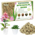 Halatool 6OZ Natural Sphagnum Moss for Plants 8 QT Premium Peat Moss Dried Long Fiber Orchid Moss for Orchid Repotting Carnivorous Succulents Garden Flowers Crafts Terrarium and Reptiles - size: 8 qt (0.4 lbs)