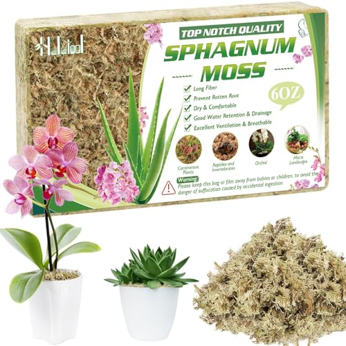 Halatool 6OZ Natural Sphagnum Moss for Plants 8 QT Premium Peat Moss Dried Long Fiber Orchid Moss for Orchid Repotting Carnivorous Succulents Garden Flowers Crafts Terrarium and Reptiles - size: 8 qt (0.4 lbs)