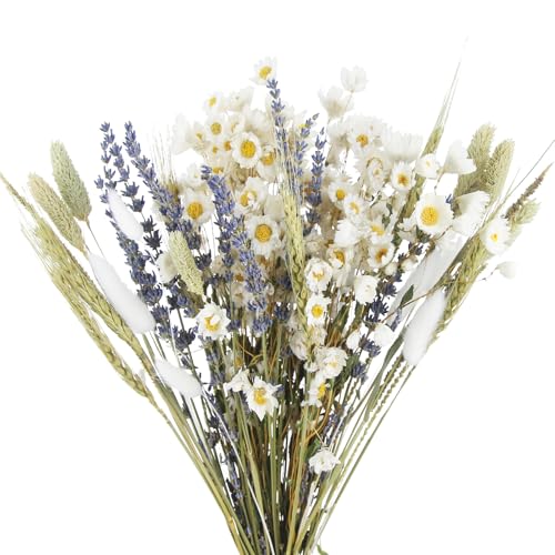 Dried Flowers Bouquet Dried Daisy Flowers Natural Lavender Dried Flowers Bunny Tails Gerber Daisies Flowers Wheat Stalks Floral Arrangements for Wedding Table Centerpiece Decor Farmhouse DIY - color: Natural
