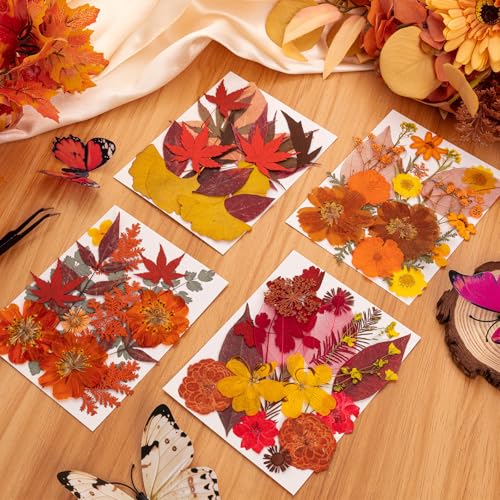 78 Pcs Fall Dried Pressed Flowers with Tweezer, Fall Themed Real Dried Flowers Leaves for DIY Crafts Resin Molds, Yellow Orange Dried Flowers for Autumn Halloween Thanksgiving Decorations - size: Orange