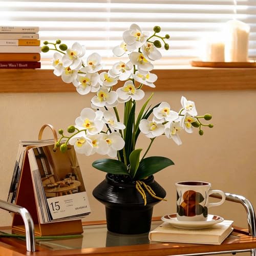 Daily Treasures 24 Heads Artificial Orchid Plant with Black Ceramic Pot, 3D Printed Silk White Faux Orchid Flowers with Buds, Lifelike Butterfly Orchid with Leaves for Modern Home Office Decor