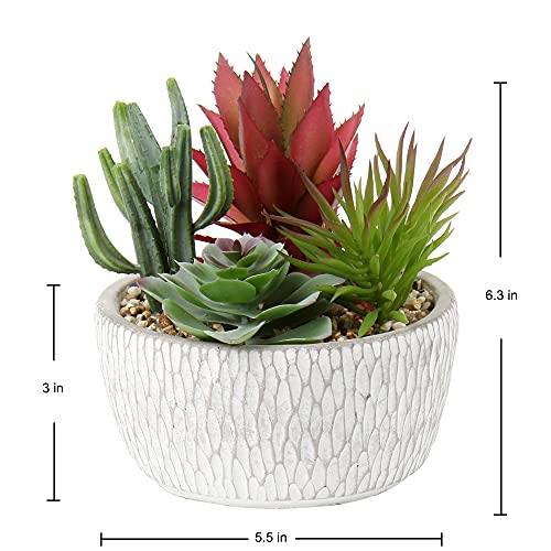 Briful Small Fake Plants Assorted Faux Succulents in Pots Realistic Succulents Plants Artificial with Cement Pots for Home Table Office Desk Bathroom Shelf Living Room Decor - color: Succulent #06